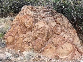 gcnankoweap2021-day8-2  stromatolite  w.jpg (702407 bytes)